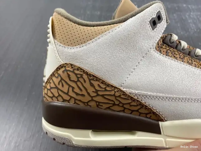 Bmlin Shoes CT8532-102 Palomino Jordan Air 3 0615